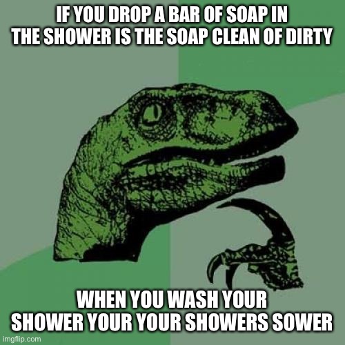 Philosoraptor | IF YOU DROP A BAR OF SOAP IN THE SHOWER IS THE SOAP CLEAN OF DIRTY; WHEN YOU WASH YOUR SHOWER YOUR YOUR SHOWERS SOWER | image tagged in memes,philosoraptor | made w/ Imgflip meme maker