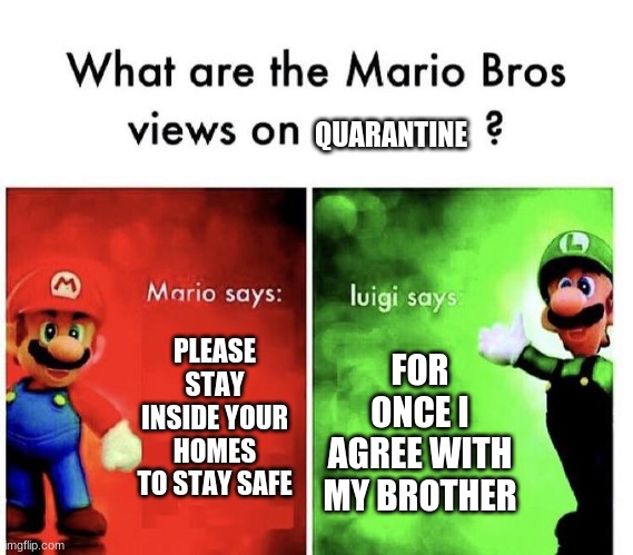 Mario Bros Views | QUARANTINE; PLEASE STAY INSIDE YOUR HOMES TO STAY SAFE; FOR ONCE I AGREE WITH MY BROTHER | image tagged in mario bros views | made w/ Imgflip meme maker