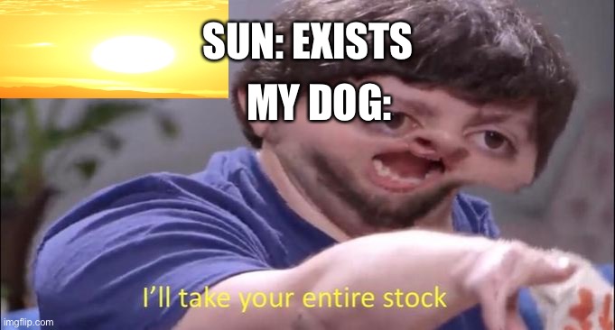 I'll take your entire stock | SUN: EXISTS; MY DOG: | image tagged in i'll take your entire stock | made w/ Imgflip meme maker