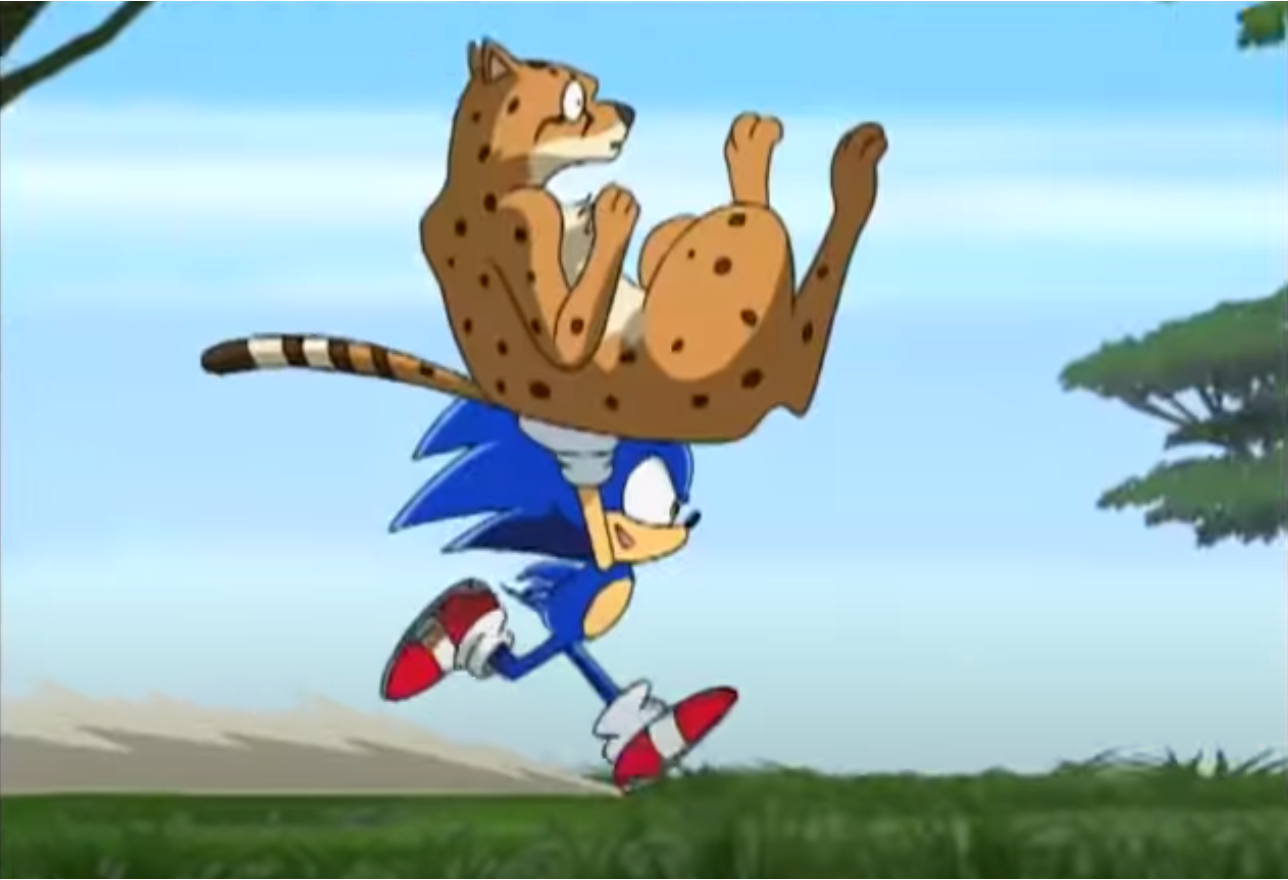 High Quality Sonic & The Cheetah Blank Meme Template