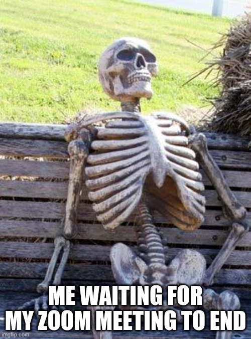 Waiting Skeleton | ME WAITING FOR MY ZOOM MEETING TO END | image tagged in memes,waiting skeleton | made w/ Imgflip meme maker