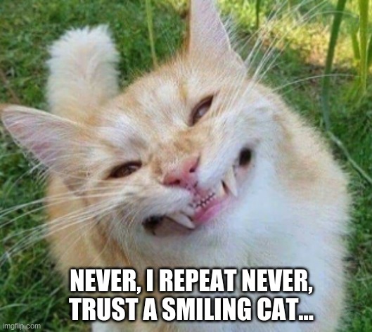 when you know your cat is up to something... | NEVER, I REPEAT NEVER, TRUST A SMILING CAT... | image tagged in funny | made w/ Imgflip meme maker