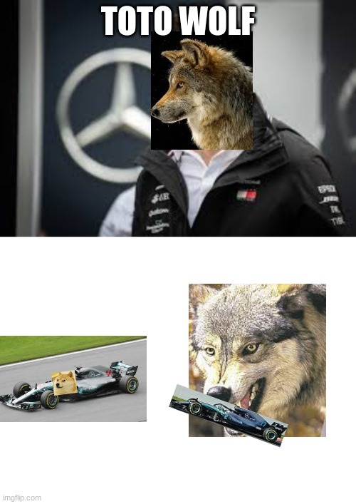 TOTO WOLF | image tagged in blank white template | made w/ Imgflip meme maker