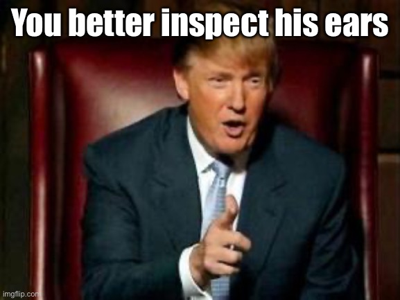 Donald Trump | You better inspect his ears | image tagged in donald trump | made w/ Imgflip meme maker