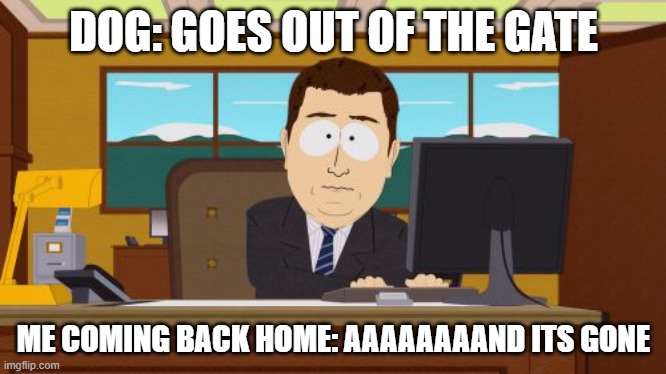 Aaaaand Its Gone | DOG: GOES OUT OF THE GATE; ME COMING BACK HOME: AAAAAAAAND ITS GONE | image tagged in memes,aaaaand its gone | made w/ Imgflip meme maker