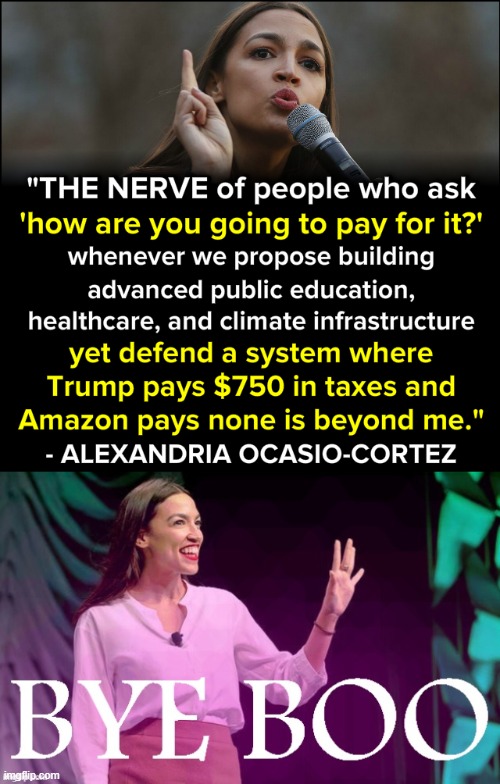 nono jokes on u taxeation is theft so ofc we shuld have no services maga | image tagged in aoc bye boo,taxation is theft,taxation,aoc,alexandria ocasio-cortez,taxes | made w/ Imgflip meme maker