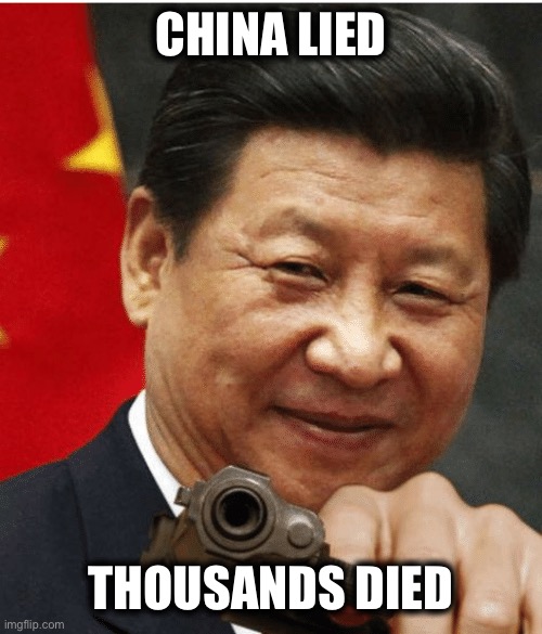 China declared war on the US with the coronavirus. Democrats want you to blame Trump for it all. It’s sick. | CHINA LIED; THOUSANDS DIED | image tagged in xi jinping,democrats,democratic party,china,covid-19,coronavirus | made w/ Imgflip meme maker
