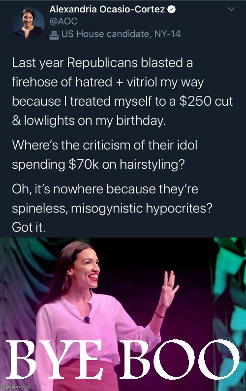 on the issue of expensive haircuts: bye boo | image tagged in aoc,haircut,bad haircut,bad hair,sexism,sexist | made w/ Imgflip meme maker