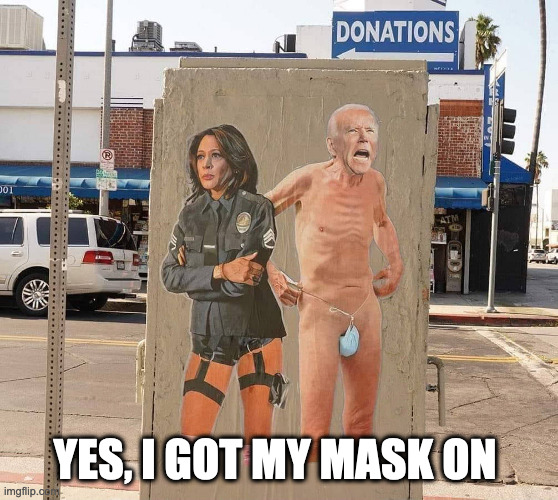 Got your mask on | YES, I GOT MY MASK ON | image tagged in funny,lol,cat,woman yelling at cat,funny memes | made w/ Imgflip meme maker