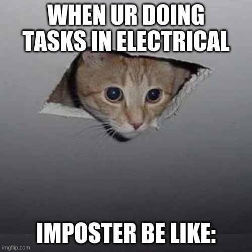 There is a kitten among us | WHEN UR DOING TASKS IN ELECTRICAL; IMPOSTER BE LIKE: | image tagged in memes,ceiling cat | made w/ Imgflip meme maker