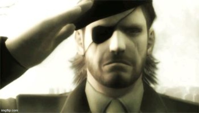 Big Boss Salute | image tagged in big boss salute | made w/ Imgflip meme maker