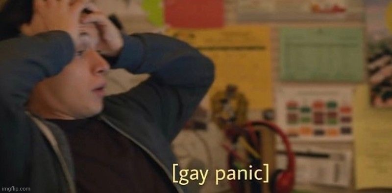 Gay panic | image tagged in gay panic | made w/ Imgflip meme maker