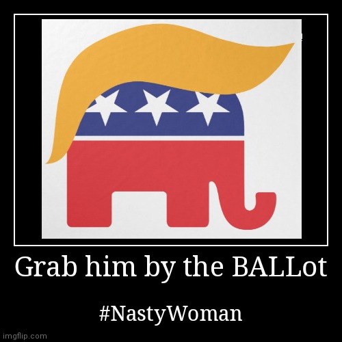 Grab him by the ballot | image tagged in funny,demotivationals,trump,nasty woman | made w/ Imgflip demotivational maker