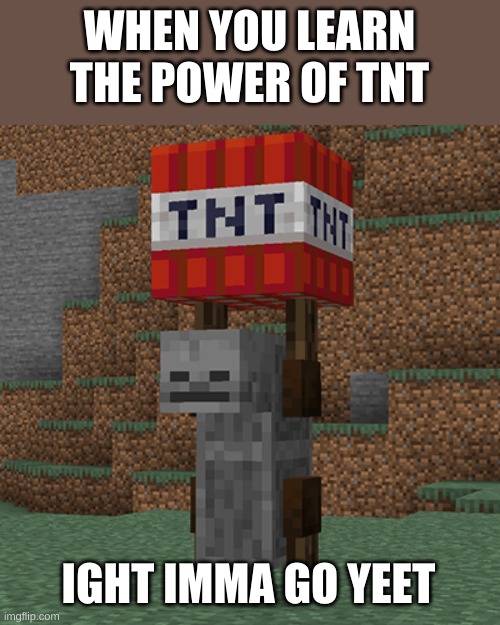Tnt yeeter | WHEN YOU LEARN THE POWER OF TNT; IGHT IMMA GO YEET | image tagged in tnt yeeter | made w/ Imgflip meme maker