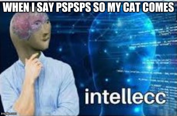 intellecc | WHEN I SAY PSPSPS SO MY CAT COMES | image tagged in intellecc,cats | made w/ Imgflip meme maker