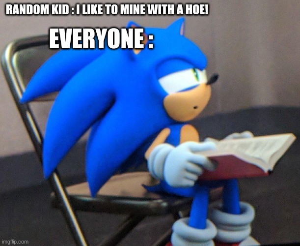RANDOM KID : I LIKE TO MINE WITH A HOE! EVERYONE : | image tagged in sonic,book,sonicreading,minecraft | made w/ Imgflip meme maker