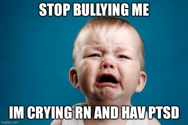 STOP (note he isn't that smart)
And there go's another account | STOP BULLYING ME; IM CRYING RN AND HAV PTSD | image tagged in baby crying | made w/ Imgflip meme maker