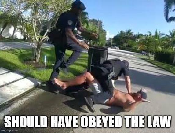 support the blue | SHOULD HAVE OBEYED THE LAW | image tagged in blue lives matter,i can't breathe | made w/ Imgflip meme maker