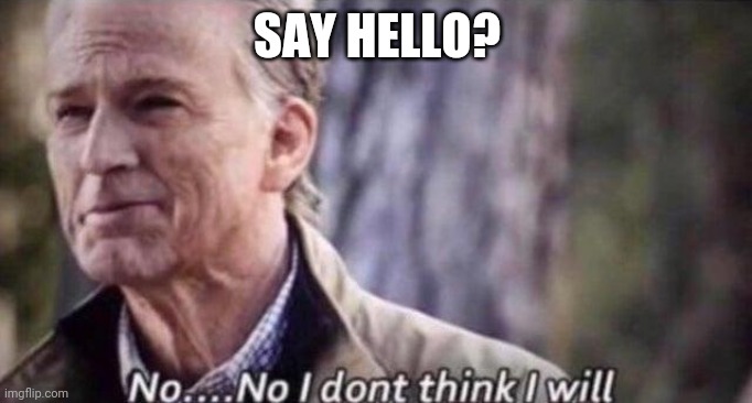 no i don't think i will | SAY HELLO? | image tagged in no i don't think i will | made w/ Imgflip meme maker