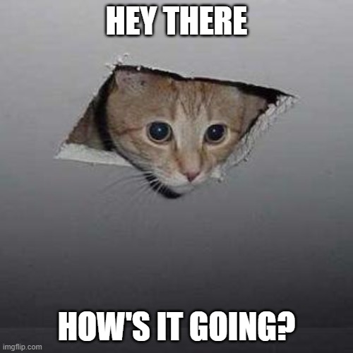 Ceiling Cat | HEY THERE; HOW'S IT GOING? | image tagged in memes,ceiling cat | made w/ Imgflip meme maker