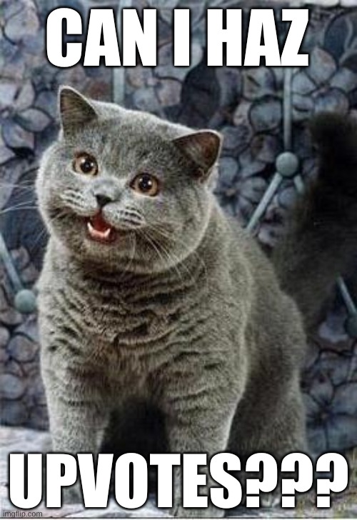 I can has cheezburger cat | CAN I HAZ UPVOTES??? | image tagged in i can has cheezburger cat | made w/ Imgflip meme maker