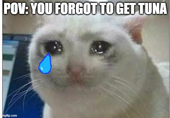 crying cat | POV: YOU FORGOT TO GET TUNA | image tagged in crying cat | made w/ Imgflip meme maker