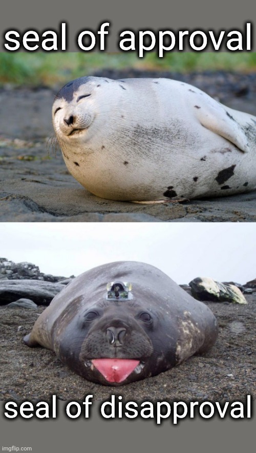 seal of disapproval |  seal of approval; seal of disapproval | image tagged in seal,approval,disapproval | made w/ Imgflip meme maker