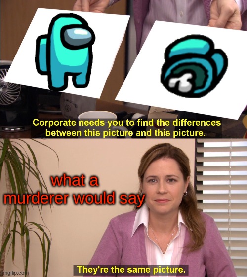 They're The Same Picture | what a murderer would say | image tagged in memes,they're the same picture | made w/ Imgflip meme maker
