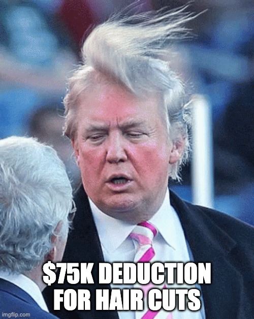 trump | $75K DEDUCTION FOR HAIR CUTS | image tagged in bad hair day | made w/ Imgflip meme maker