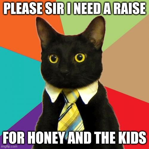 Business Cat | PLEASE SIR I NEED A RAISE; FOR HONEY AND THE KIDS | image tagged in memes,business cat | made w/ Imgflip meme maker