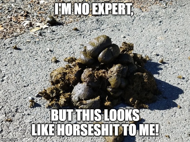 HP | I'M NO EXPERT, BUT THIS LOOKS LIKE HORSESHIT TO ME! | image tagged in h s | made w/ Imgflip meme maker