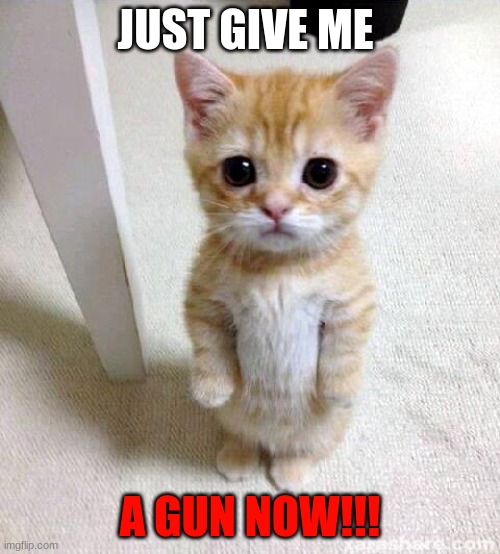 Cute Cat Meme | JUST GIVE ME; A GUN NOW!!! | image tagged in memes,cute cat | made w/ Imgflip meme maker