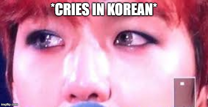 *CRIES IN KOREAN* | made w/ Imgflip meme maker