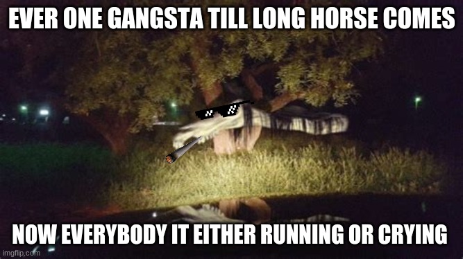 long horse | EVER ONE GANGSTA TILL LONG HORSE COMES; NOW EVERYBODY IT EITHER RUNNING OR CRYING | image tagged in long horse | made w/ Imgflip meme maker