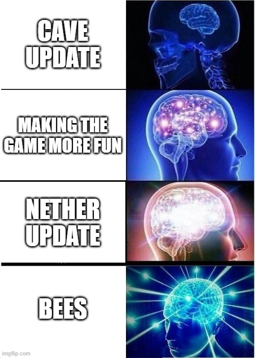 Mojang | CAVE UPDATE; MAKING THE GAME MORE FUN; NETHER UPDATE; BEES | image tagged in memes,expanding brain | made w/ Imgflip meme maker