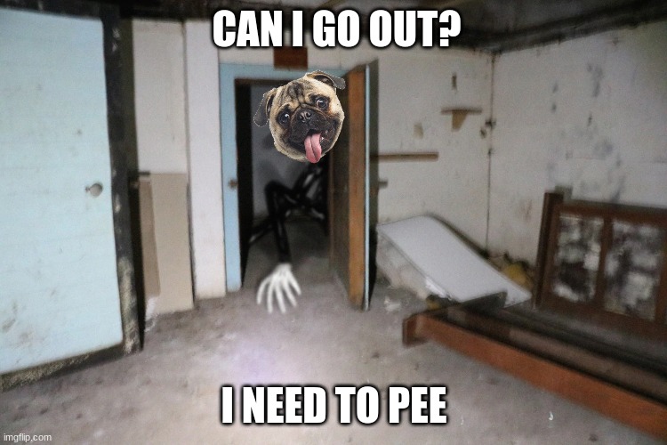 Cartoon Dog | CAN I GO OUT? I NEED TO PEE | image tagged in cartoon dog | made w/ Imgflip meme maker
