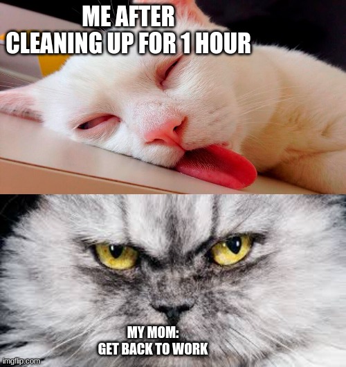 ME AFTER CLEANING UP FOR 1 HOUR; MY MOM:
GET BACK TO WORK | image tagged in sleepy and grumpy cat,meme,funny ish | made w/ Imgflip meme maker