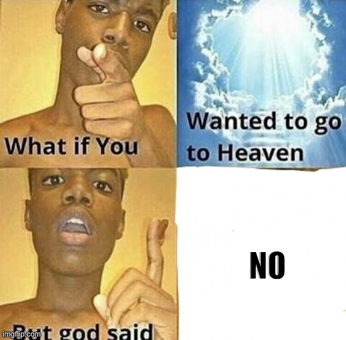 nO | NO | image tagged in what if you wanted to go to heaven | made w/ Imgflip meme maker