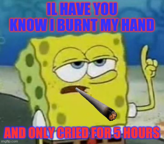 I'll Have You Know Spongebob Meme | IL HAVE YOU KNOW I BURNT MY HAND; AND ONLY CRIED FOR 5 HOURS | image tagged in memes,i'll have you know spongebob | made w/ Imgflip meme maker