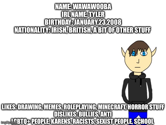 Meet the memer | NAME: WAWAWOOBA
IRL NAME: TYLER
BIRTHDAY: JANUARY,23,2008
NATIONALITY: IRISH, BRITISH, A BIT OF OTHER STUFF; LIKES: DRAWING, MEMES, ROLEPLAYING, MINECRAFT, HORROR STUFF
DISLIKES: BULLIES, ANTI LGBTQ+ PEOPLE, KARENS, RACISTS, SEXIST PEOPLE, SCHOOL | image tagged in blank white template | made w/ Imgflip meme maker