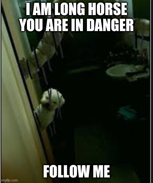 he turned his dog into long horse | I AM LONG HORSE YOU ARE IN DANGER; FOLLOW ME | image tagged in dog meme | made w/ Imgflip meme maker