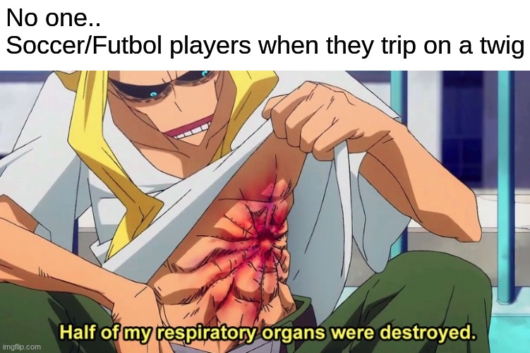 some careless mofo kicked a soccer ball into my face once | No one..
Soccer/Futbol players when they trip on a twig | image tagged in half of my respiratory organs were destroyed | made w/ Imgflip meme maker