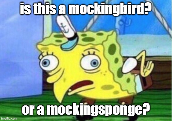 Mocking Spongebob | is this a mockingbird? or a mockingsponge? | image tagged in memes,mocking spongebob | made w/ Imgflip meme maker