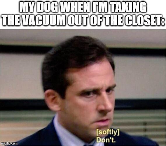 don't | MY DOG WHEN I'M TAKING THE VACUUM OUT OF THE CLOSET: | image tagged in michael scott don't softly | made w/ Imgflip meme maker