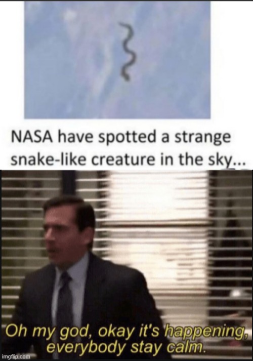oh my | image tagged in snake | made w/ Imgflip meme maker