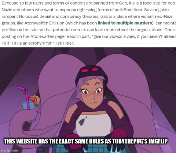 not mudslinging, I'm just warning | THIS WEBSITE HAS THE EXACT SAME RULES AS TOBYTHEPUG'S IMGFLIP | image tagged in entrapta computer | made w/ Imgflip meme maker