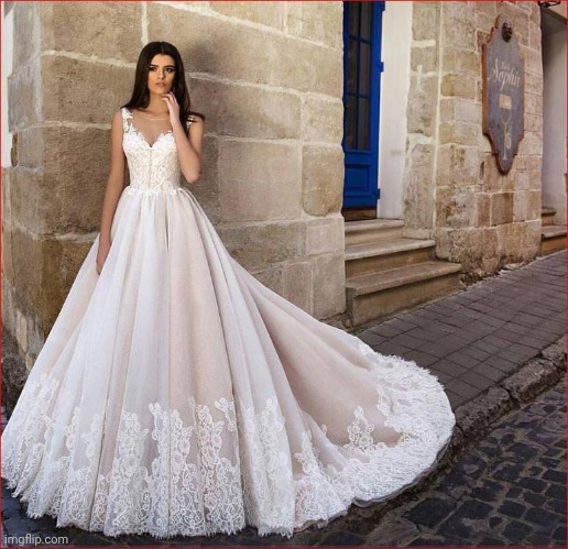 Wedding Dresses | image tagged in wedding dresses | made w/ Imgflip meme maker
