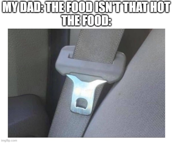 MY DAD: THE FOOD ISN'T THAT HOT
THE FOOD: | image tagged in funny | made w/ Imgflip meme maker