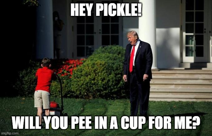 Hey Pickle, will you pee in a cup for me? | HEY PICKLE! WILL YOU PEE IN A CUP FOR ME? | image tagged in trump lawnmower kid | made w/ Imgflip meme maker