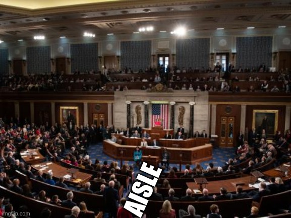 House of Representatives | AISLE | image tagged in house of representatives | made w/ Imgflip meme maker